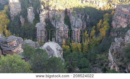 In The Natural Park Of The High Tajo In Guadalajara