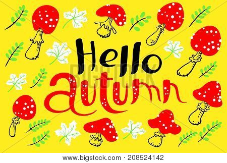 Hello autumn lettering with amanita. Fall season background with bright marple leaves. Vector illustration