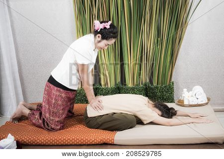 Thai Masseuse doing massage for woman in spa salon. Asian beautiful woman getting thai herbal massage compress massage in spa.She is very relaxed. Healthy Concept