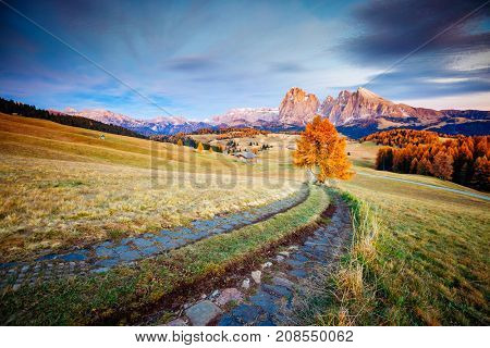 Scenic image of bright hills. Location Dolomiti alps, Compaccio, Seiser Alm or Alpe di Siusi, Bolzano province, South Tyrol, Italy, Europe, Great picture of wild area. Explore the beauty of earth.