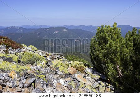 Mountains Gorgan In The Carpathian Mountains In Ukraine. A Lot O