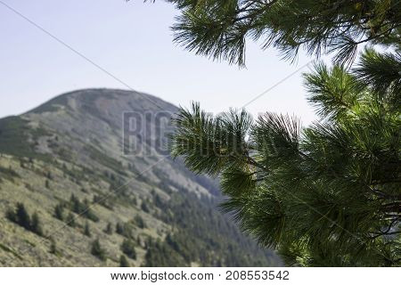 Mountains Gorgan In The Carpathian Mountains In Ukraine. A Lot O