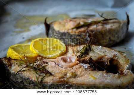 Grilled yellowtail amberjack just cooked fillets with lemon slices.