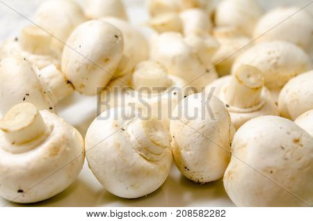 A Studio Photograph of Closed Cap Mushrooms