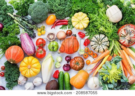 Organic farm crops, varieity of colorful organic vegetables and herbs on light grey stone background, top view, selective focus