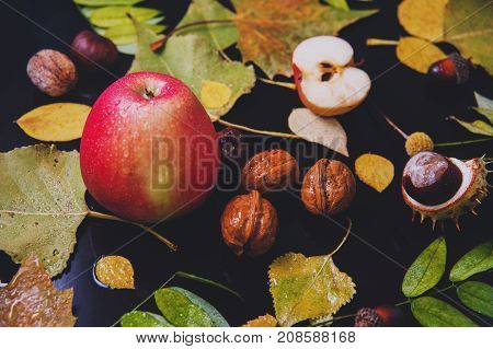 Autumn rainy still life - yellow leaves apples walnuts acorns chestnuts on a wet background. Autumn mood.