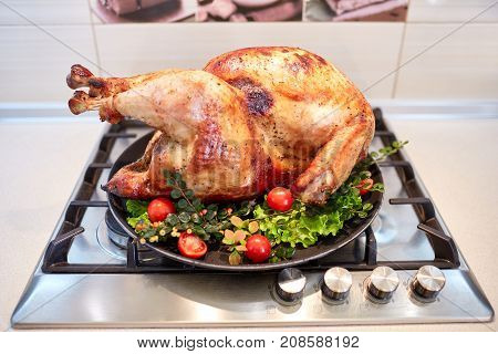 Tasty baked chicken on vegetables pillow. Ready for holidays table. Close-up of delishious chicken with vegetables. Food concept.