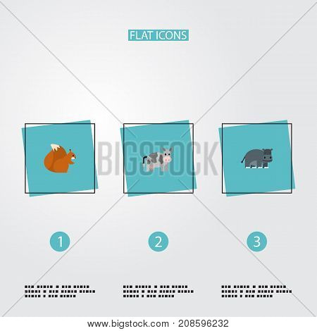 Flat Icons Kine, Chipmunk, Hippopotamus And Other Vector Elements
