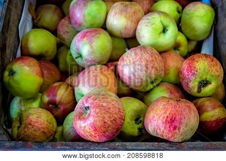 Fresh red and green apples for sale stored in retro grunge basket in the market