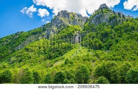 Scenic Forest And Meadows Among The High Snow-capped Mountains.