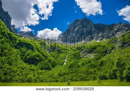 Scenic Forest And Meadows Among The High Snow-capped Mountains.