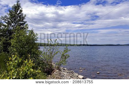 Wooded Shore Of The Lake