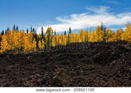 Lava field of Dixie National Forest in Utah with gorgeous sky and bright autumn leaves.
