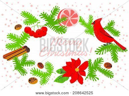 Christmas wreath with poinsettia red flower. Winter floral background with cardinal bird grapefuit canella pine tree and rowan branches. Seasonal design for tags backdrops placards cards. Merry Christmas lettering