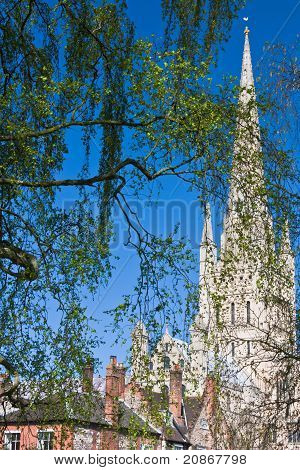 诺里奇大教堂、 英国诺里奇，