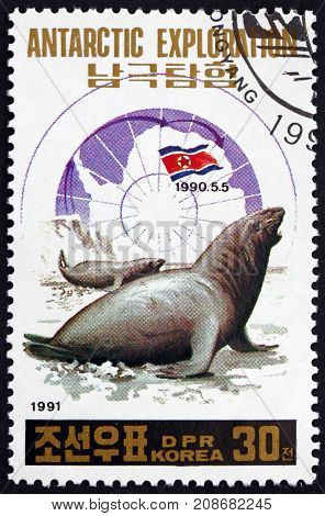 NORTH KOREA - CIRCA 1991: a stamp printed in North Korea shows Elephant Seals Antartic Exploration circa 1991