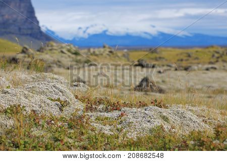 Majestic volcanic landscape covered with moss in Iceland highlands