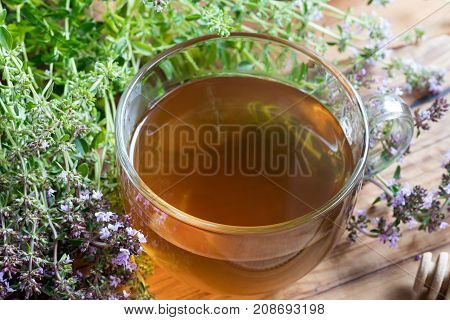 A cup of creeping thyme (thymus serpyllum) tea with fresh creeping thyme twigs on a wooden table
