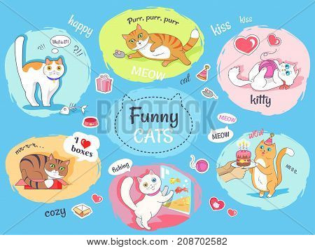 Funny cats poster with round images of their everyday life. Fluffy domestic animals entertaining and routine vector banner