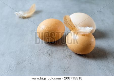 Bird eggs on a concretestone or slate background.Top view with copy space.