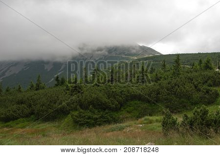 Zapisz
Highest mountain in Krkonose National Park Snezka. Foggy windy and wet weather .