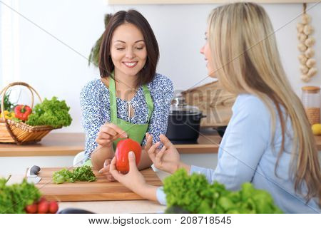 Two young happy woman making cooking in the kitchen. Friendship and culinary concept.