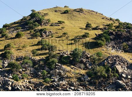 Green Vegetation Mountain Landscape At The Coastline Of Labuan Bajo Bajawa, Indonesia.