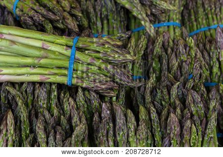 Garden Asparagus bundles for sale at vegetable stall in public market closeup