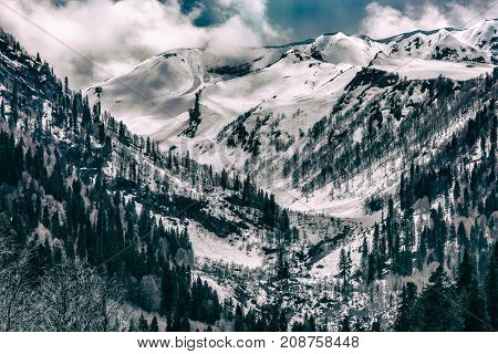 The valley of snow-capped mountains many trees on the slopes a hard-to-reach place tinted in black and white. Audakhara, Relict national park of Ritsa. Abkhazia.