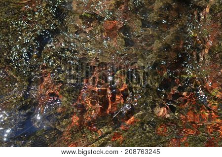 River Water And Picturesque Bottom