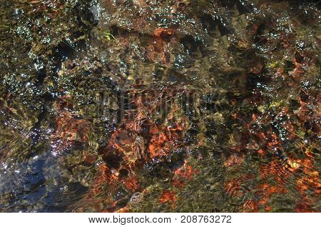 Picturesque Mountain River Bottom