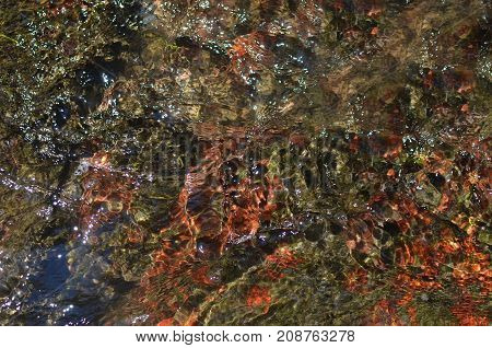 River Bottom And Water