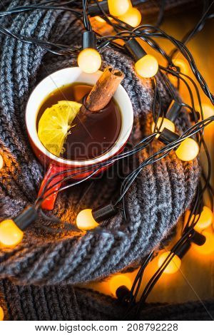 Christmas Festive Concept