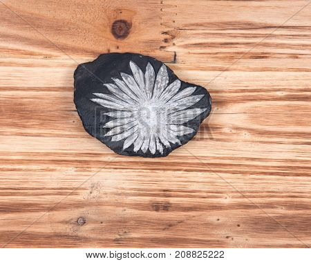 The white flower  Chrysanthemum stone on vintage wooden background