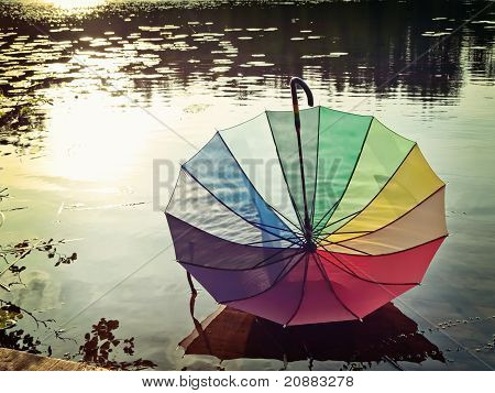 Umbrella