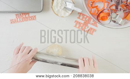 Halloween Sugar Cookies