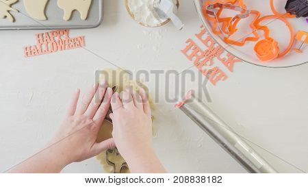Halloween Sugar Cookies
