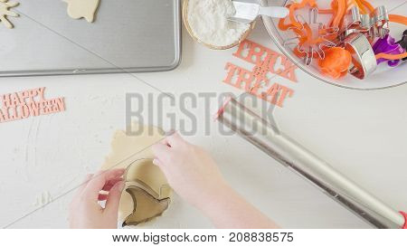 Halloween Sugar Cookies