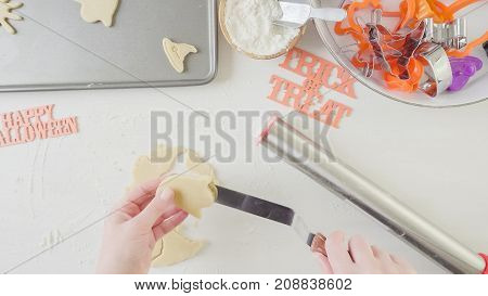 Halloween Sugar Cookies