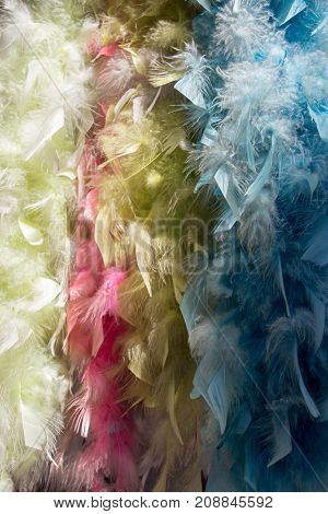 Beautiful Bird Feathers For Decorative Purposes In View