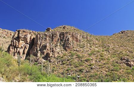 View going up Mount Lemmon in Tucson, Arizona, USA in the Santa Catalina Mountains located in the Coronado National Forest with blue sky copy space.