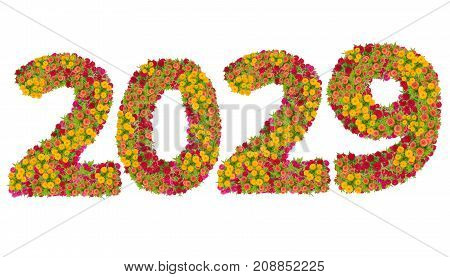 Numbers 2029 made from Zinnias flowers isolated on white background with clipping path. Happy new year concept