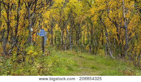 Sign poles by the side of a Navvy Road Trail. Colorful trees, forest in the background.
