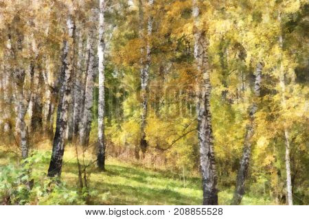 Tall Slender White Birch Trunks In A Golden Dress. Originally Russian Autumn Landscape Watercolor Il