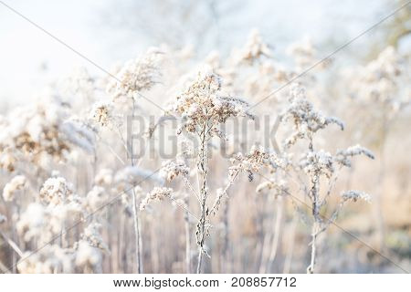 Ice cold fields in the winter in middle europa