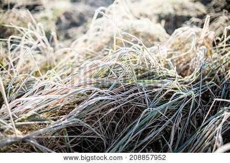 Ice cold fields in the winter in middle europa