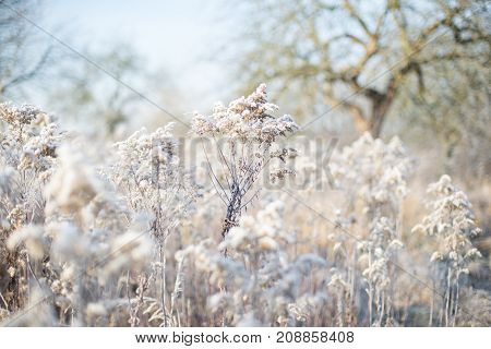 Ice cold fields in the winter in middle europa