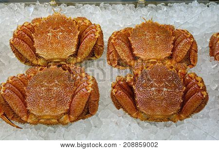 Crab At Asaichi Market In Hakodate, Japan