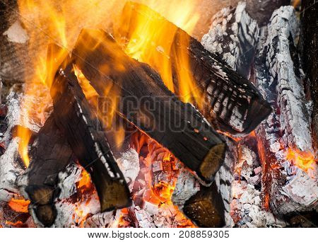 Fire flames background. Firewood is burning in the grill in the open air.