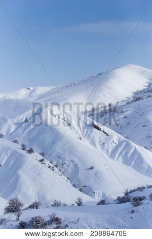 snowy slopes of the Tien Shan Mountains